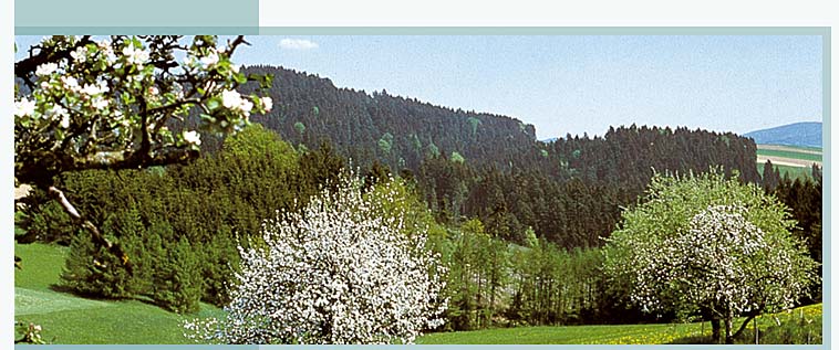 Urlaubsanfrage an Ferienwohnung Ziegler in Waldkirchen am Nationalpark Bayerischer Wald Bayern